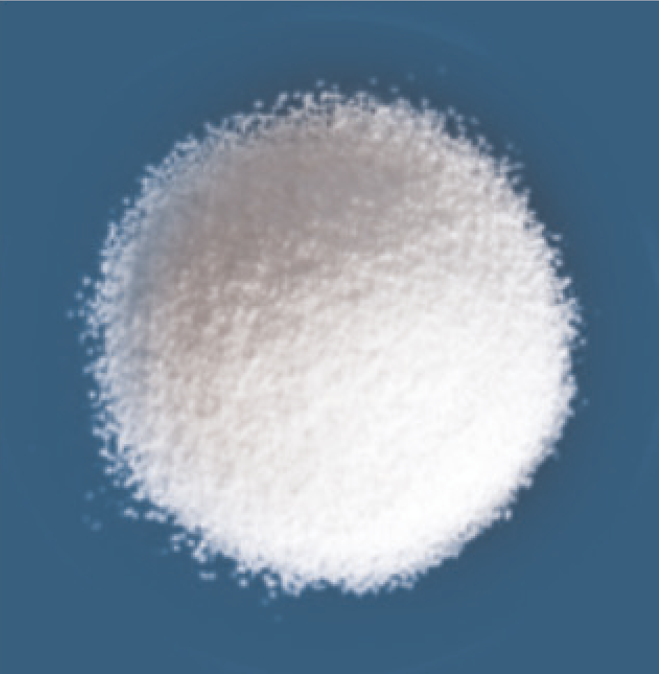 Granulate Improbone TCP 0,1 – 0,5 mm